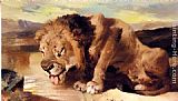Lion Drinking At A Stream by Sir Edwin Henry Landseer